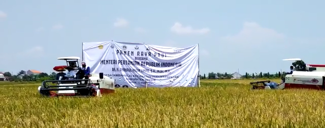 Panen raya padi di Desa Tambakrejo Kecamatan Duduk Sampeyan Kabupaten Gresik bersama Menteri Pertanian Republik Indonesia Syahrul Yasin Limpo