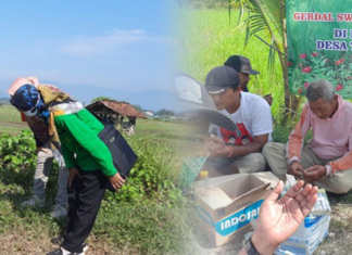 Gerakan Pengendalian Organisme Pengganggu Tumbuhan (GERDAL OPT) secara serentak di Jawa Timur dalam rangka Pengendaiian Hama Tikus pada Tanaman Padi