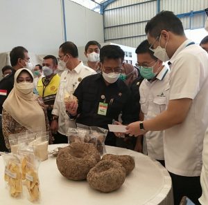 Menteri Pertanian mengunjungi salah satu Pabrik Pemrosesan Porang di Madiun
